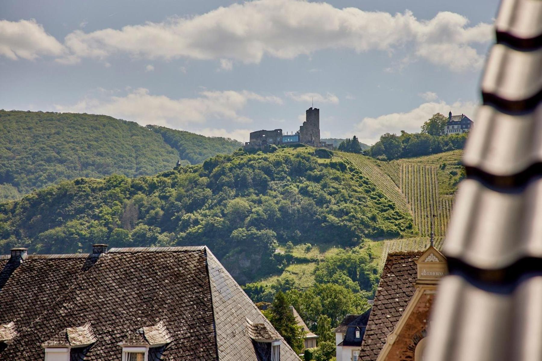 Neu!!! Moselbleibe Weingartenhaus Bernkastel-Kues Luaran gambar